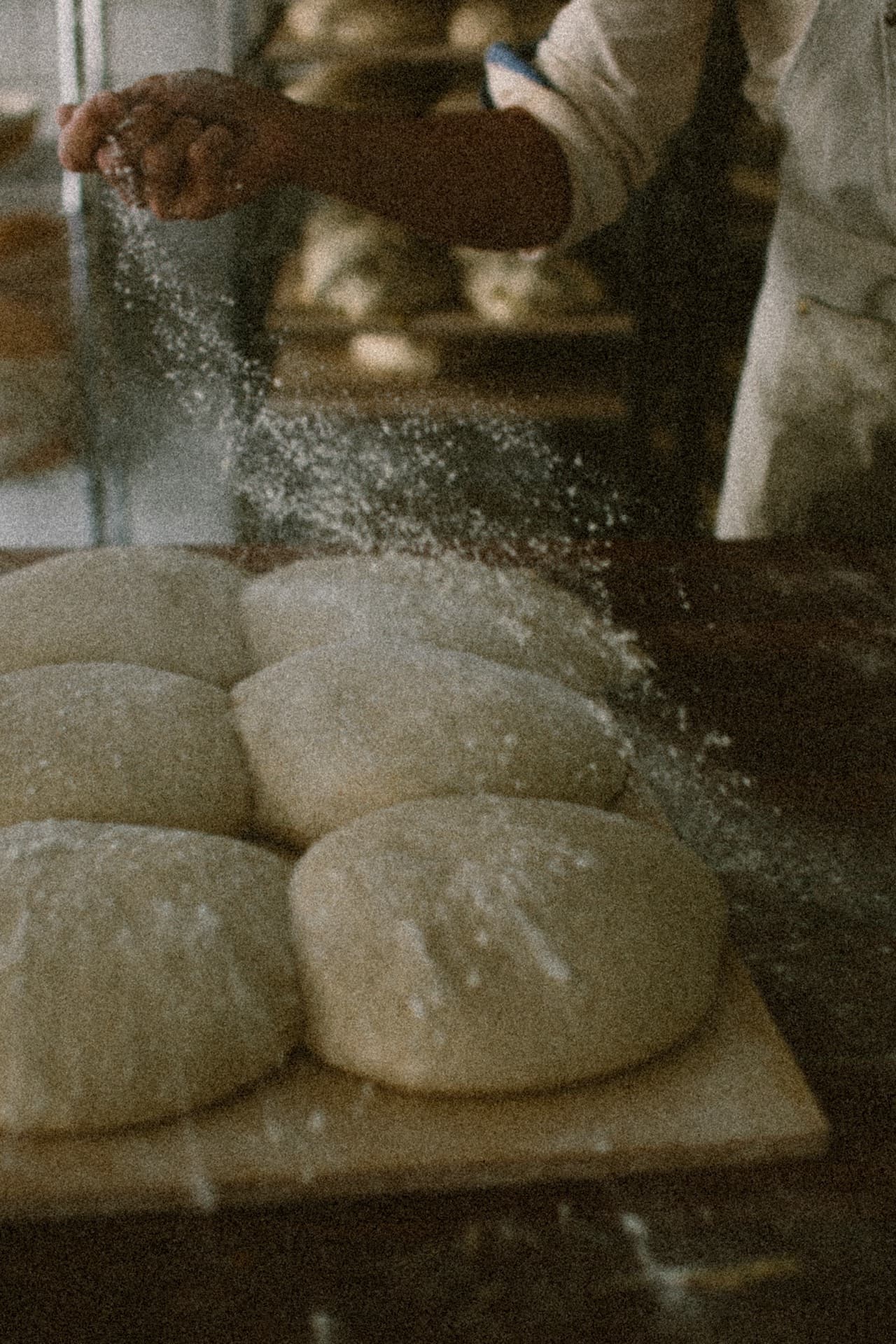 Whole Grain Sourdough