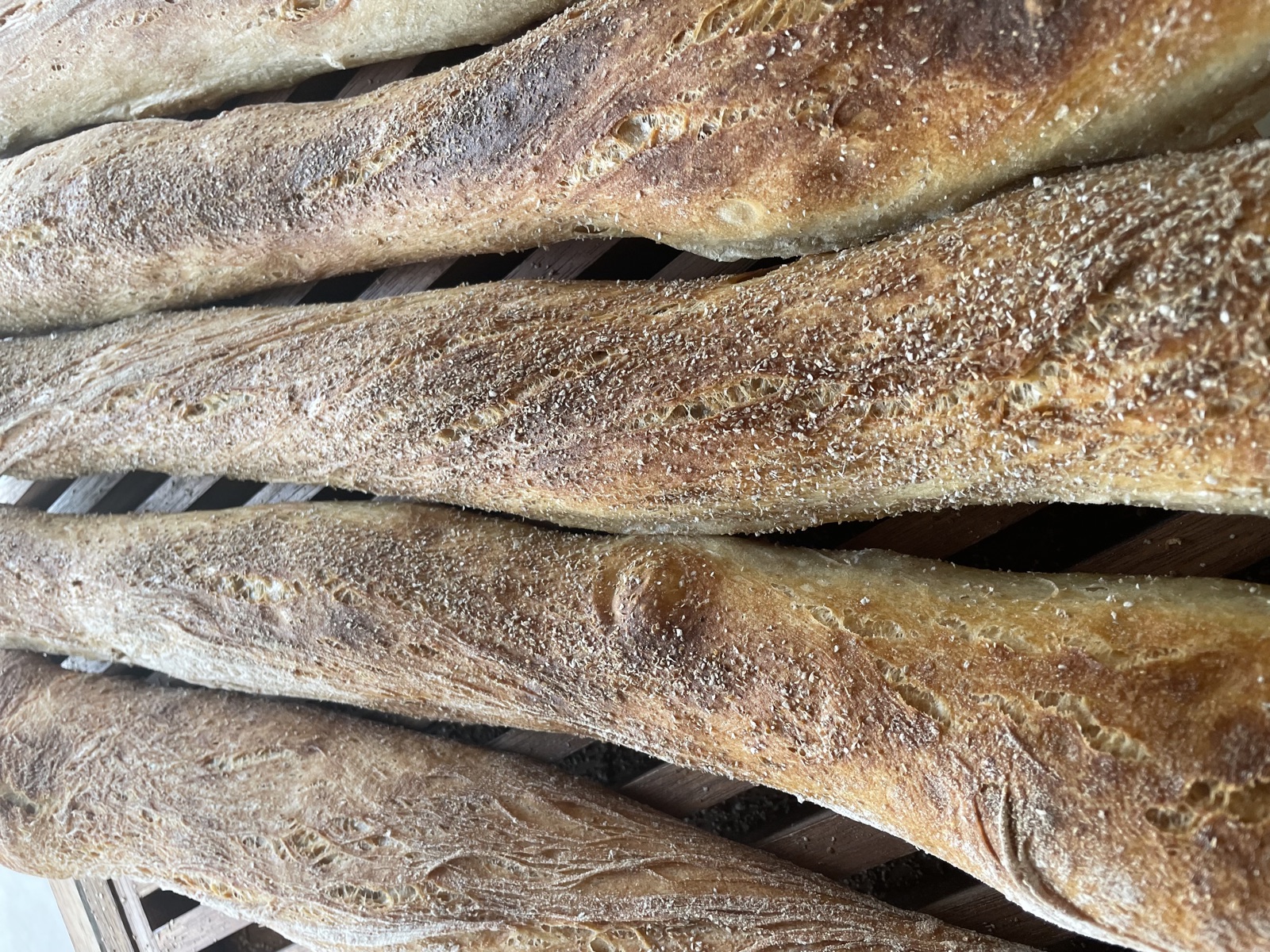 Sourdough Stirato